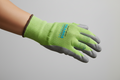 PA50971 Latex Gloves